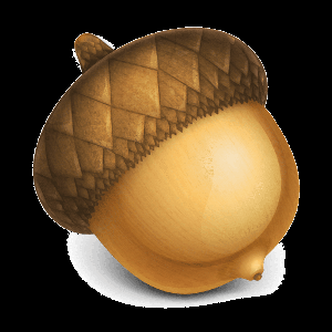 Acorn