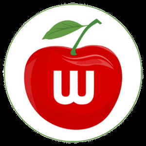 Cherrywork Accounts Payable Automation Alternatives