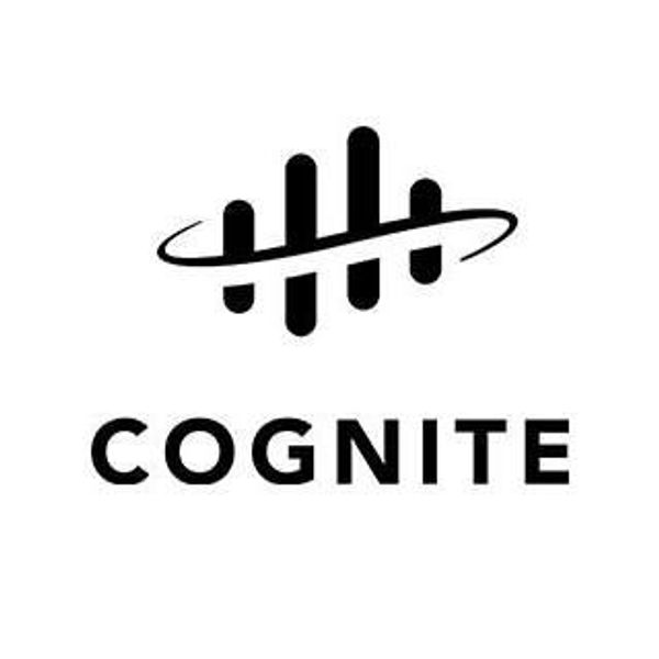 Cognite Data Fusion Alternatives