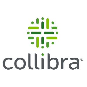 Collibra Data Governance Center Alternatives