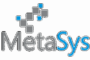 MetaBiz