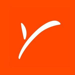 Payoneer Alternatives