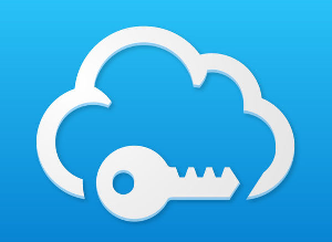 SafeInCloud