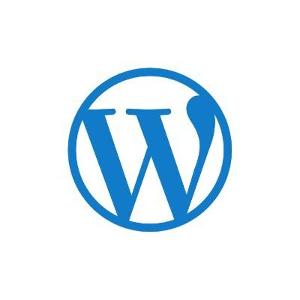 WordPress Alternatives